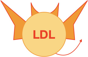 LDL Reagenz Klinische Chemie