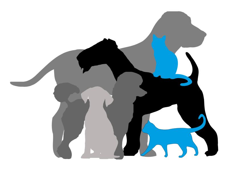 Hunde und Katzen -Schnellteste für die Point of Care Diagnostik für die Veterinärmedizin verfügbar.